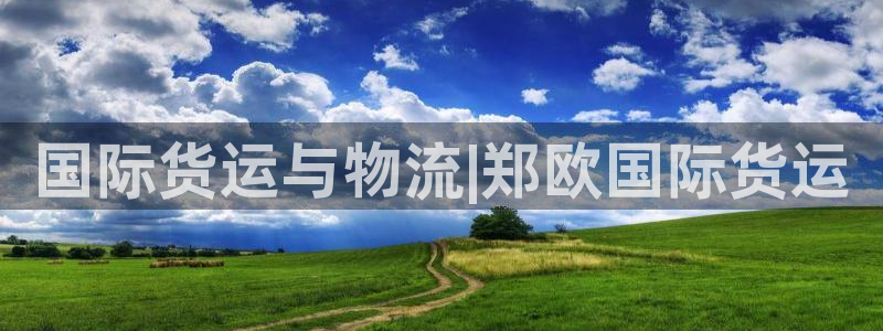 尊龙d88现金关注ag发财网：国际货运与物流|郑欧国际货