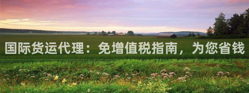 尊龙游戏官网：国际货运代理：免增值税指南，为您省钱