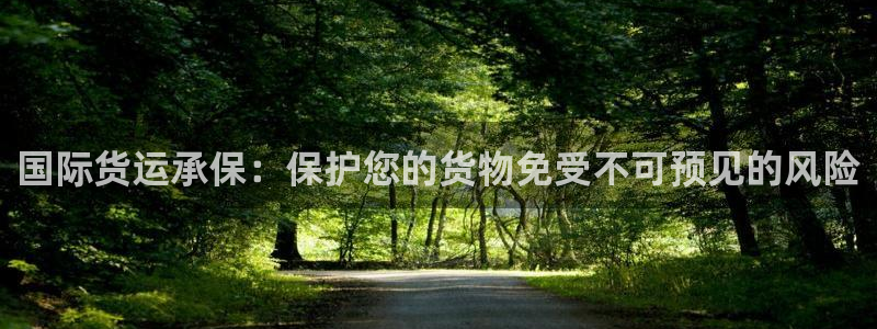 尊龙凯时几百万怎么下：国际货运承保：保护您的货物免受不可