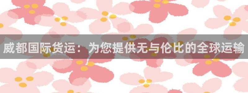 尊龙凯时代理：威都国际货运：为您提供无与伦比的全球运输