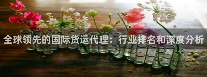 尊龙凯时城游戏官网：全球领先的国际货运代理：行业排名和深