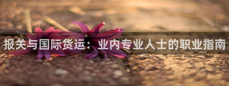 尊龙凯时有没有出不了款的情况：报关与国际货运：业内专业人