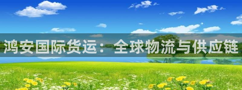 尊龙凯时平台不给出款怎么办：鸿安国际货运：全球物流与供应