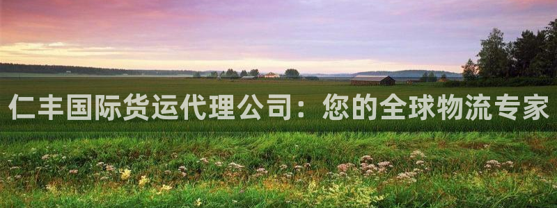 尊龙凯时官网登录入口：仁丰国际货运代理公司：您的全球物流