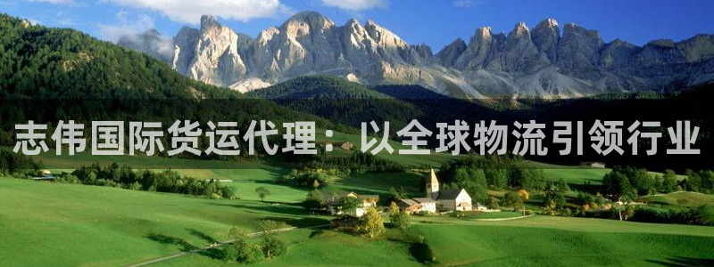 尊龙凯时存款不上分：志伟国际货运代理：以全球物流引领行业