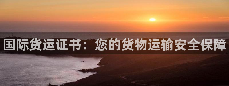 尊龙人生就是博一下阿扎尔：国际货运证书：您的货物运输安全