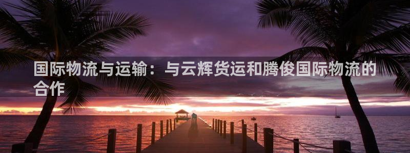 尊龙d88手机登录免费下载：国际物流与运输：与云辉货运和
