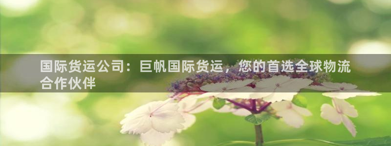 尊龙棋牌旗舰店：国际货运公司：巨帆国际货运，您的首选全球