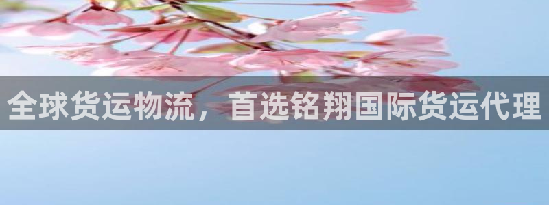 尊龙2020：全球货运物流，首选铭翔国际货运代理