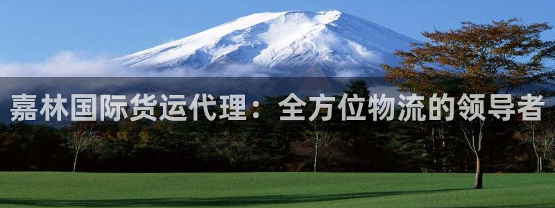 尊龙集团有限公司官网：嘉林国际货运代理：全方位物流的领导