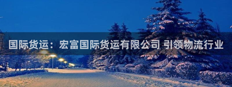 尊龙平台有谁玩过：国际货运：宏富国际货运有限公司 引领物