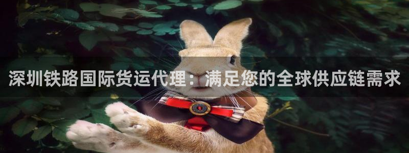 尊龙凯时人生就是搏!官网：深圳铁路国际货运代理：满足您的