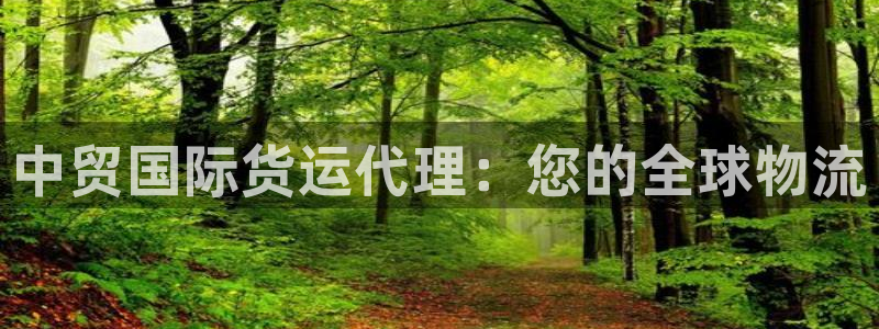 尊龙凯时福米推荐人：中贸国际货运代理：您的全球物流