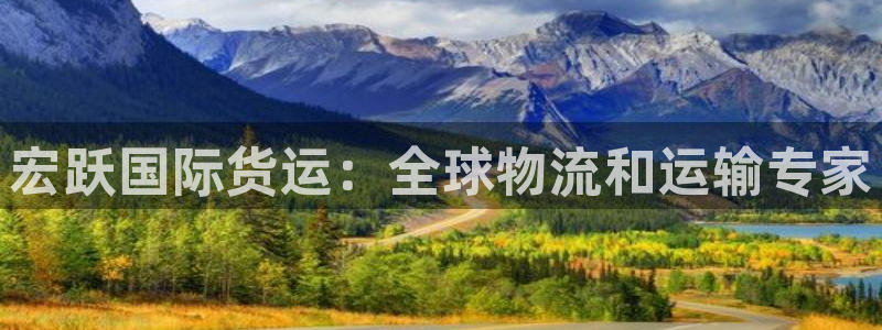 尊龙凯时产品种类：宏跃国际货运：全球物流和运输专家