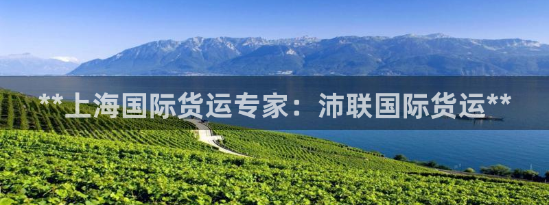 尊龙贴吧：**上海国际货运专家：沛联国际货运**