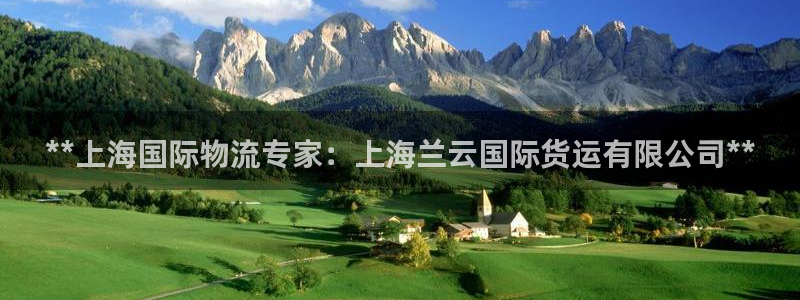 尊龙人生就是博旗舰厅：**上海国际物流专家：上海兰云国际