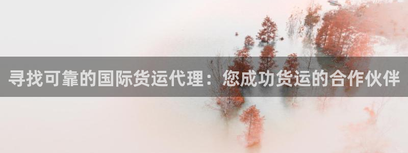 尊龙集团有限公司地址：寻找可靠的国际货运代理：您成功货运