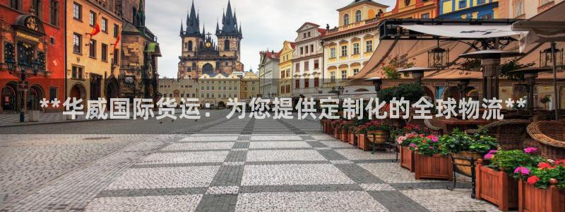 尊龙凯时网站登录：**华威国际货运：为您提供定制化的全球