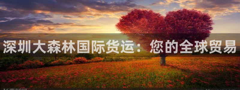 尊龙网页：深圳大森林国际货运：您的全球贸易