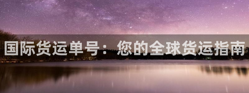 z6com尊龙：国际货运单号：您的全球货运指南