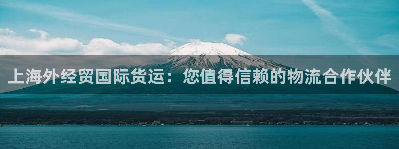 ag尊龙怎么样：上海外经贸国际货运：您值得信赖的物流合作