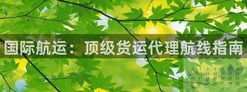 尊龙凯时产品系列：国际航运：顶级货运代理航线指南