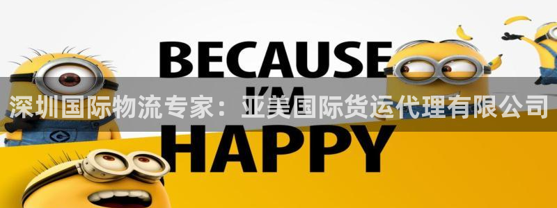 下载尊龙：深圳国际物流专家：亚美国际货运代理有限公司