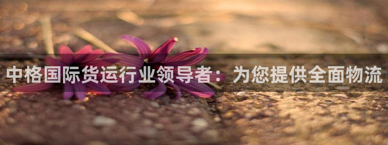 尊龙凯时人生就是博·(中国)官网首页：中格国际货运行业领
