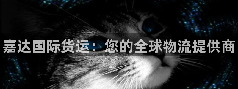 尊龙凯时网站登录：嘉达国际货运：您的全球物流提供商