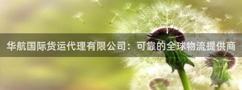 尊龙d88ag官方网站：华航国际货运代理有限公司：可靠的
