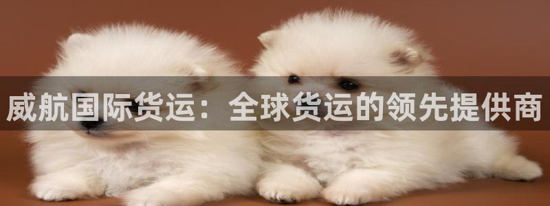 尊龙凯时 人生就是搏：威航国际货运：全球货运的领先提供商