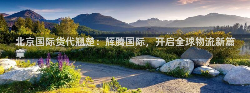 尊龙官网免费下载安卓：北京国际货代翘楚：辉腾国际，开启全