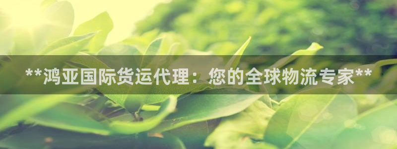 尊龙凯时请求参数不符合：**鸿亚国际货运代理：您的全球物
