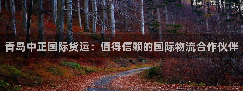 尊龙人生就是博旧版现：青岛中正国际货运：值得信赖的国际物
