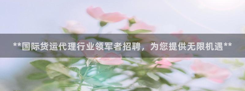 尊龙内地：**国际货运代理行业领军者招聘，为您提供无限机