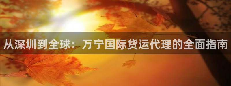 尊龙凯时ag旗舰厅官方网站：从深圳到全球：万宁国际货运代