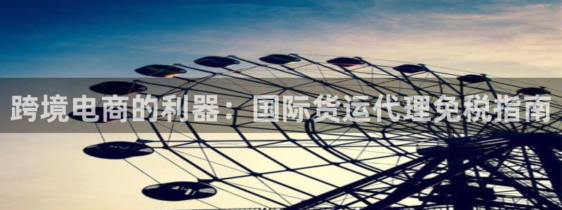尊龙人生就是博登录：跨境电商的利器：国际货运代理免税指南