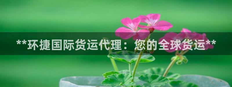 尊龙人生就是博登录准认来就送38：**环捷国际货运代理：