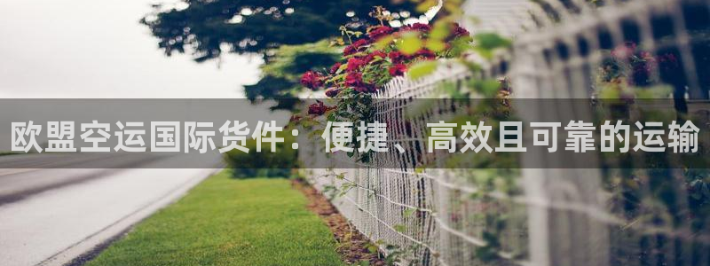 尊龙凯时人生就博官网：欧盟空运国际货件：便捷、高效且可靠