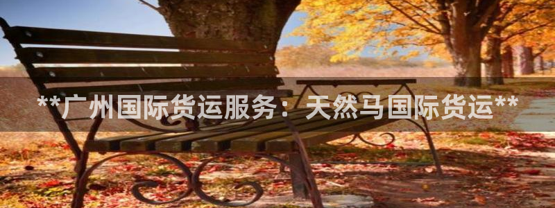 尊龙实业有限公司属于国企吗：**广州国际货运服务：天然马