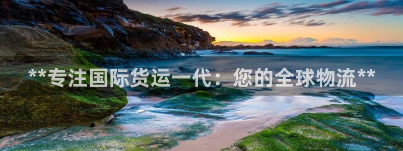 尊龙现金：**专注国际货运一代：您的全球物流**