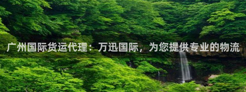 尊龙凯时防屏蔽网址：广州国际货运代理：万迅国际，为您提供