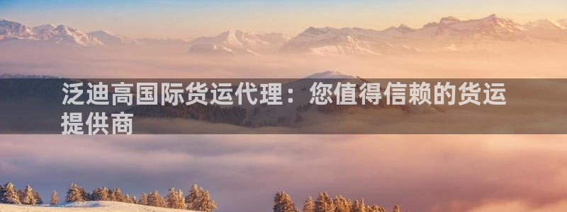 尊龙凯时官方网页：泛迪高国际货运代理：您值得信赖的货运
