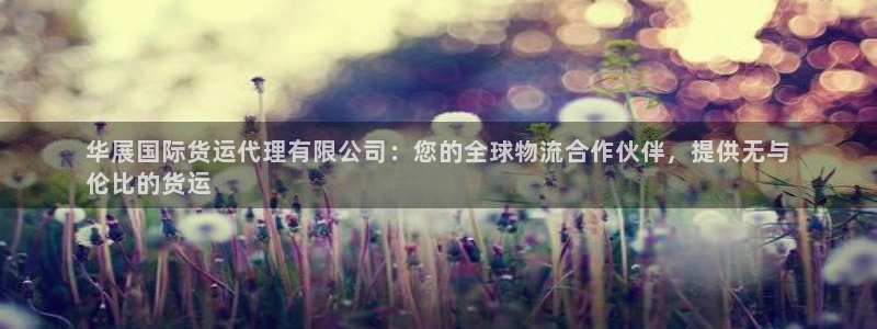 尊龙人生就是博登录首页：华展国际货运代理有限公司：您的全