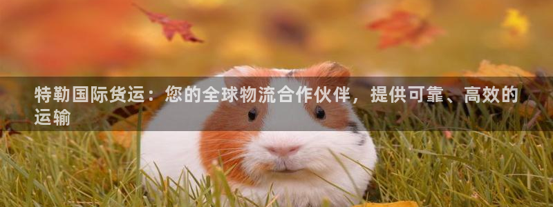 尊龙网址是多少：特勒国际货运：您的全球物流合作伙伴，提供