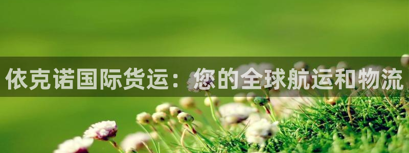 尊龙人生就是博官：依克诺国际货运：您的全球航运和物流