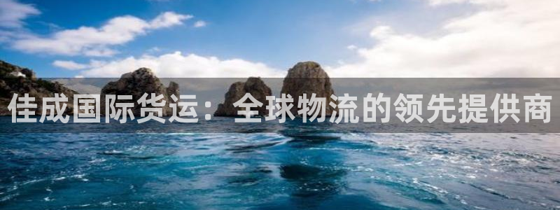 尊龙凯时新闻：佳成国际货运：全球物流的领先提供商