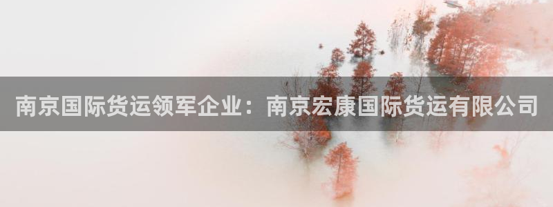 下载尊龙：南京国际货运领军企业：南京宏康国际货运有限公司