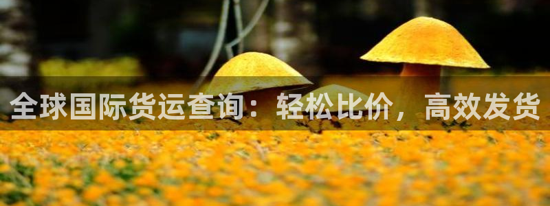 尊龙人生就是博登录：全球国际货运查询：轻松比价，高效发货