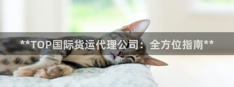 尊龙官方网站：**TOP国际货运代理公司：全方位指南**